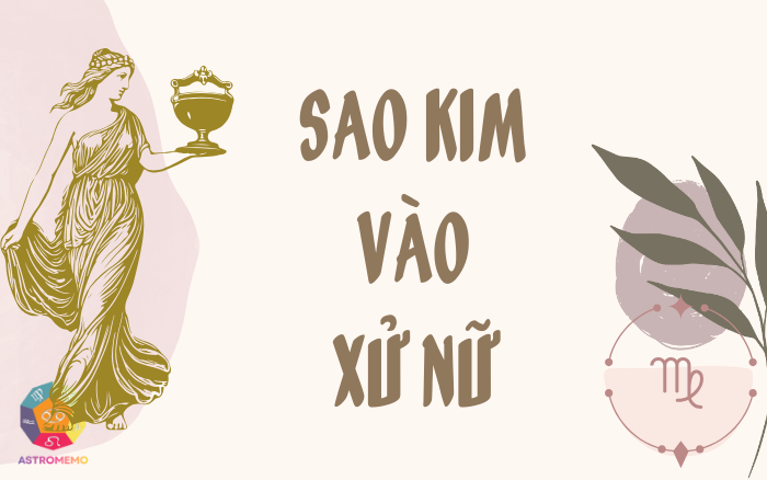 bìa saokimvaoxunu